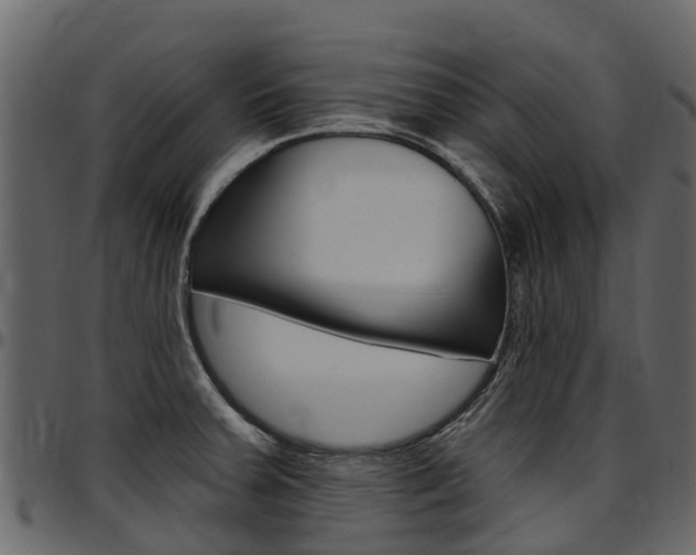 X0000097611379200802290745