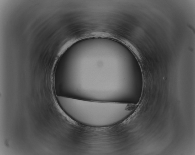 X0000097611381200802290745