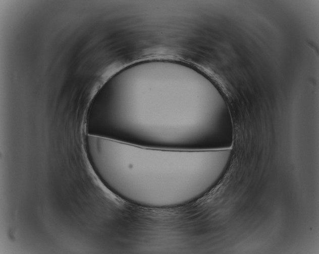 X0000097611383200802290745