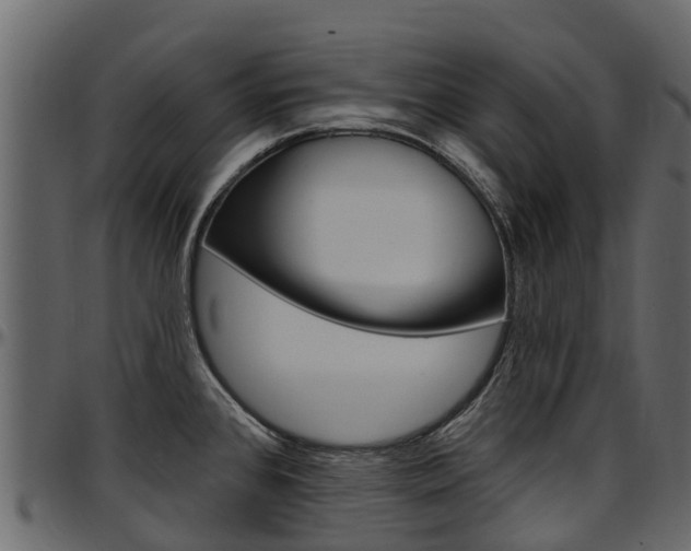 X0000097611384200802290745