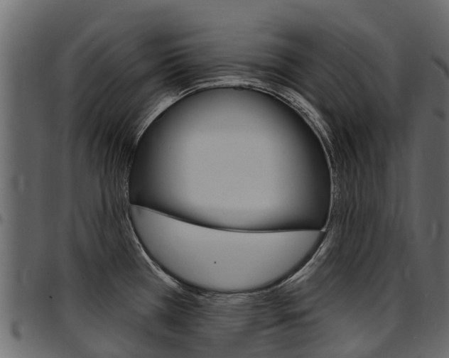 X0000097611385200802290745