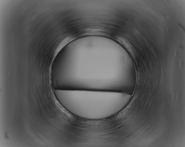X0000097611386200802290745