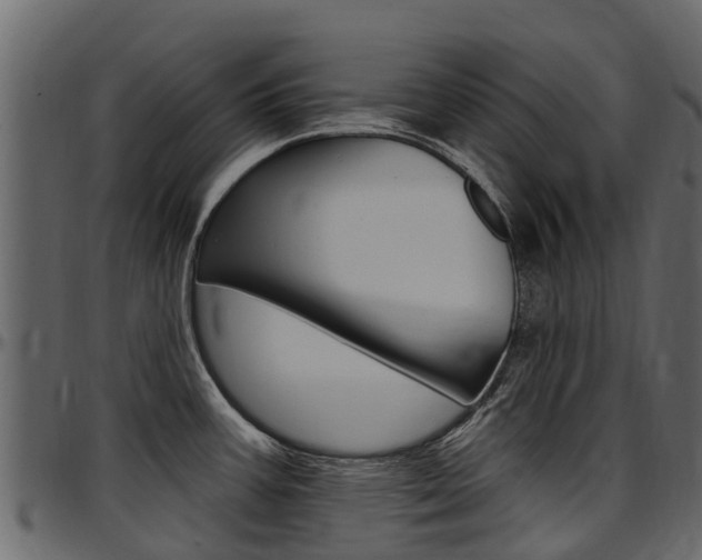 X0000097611387200802290745