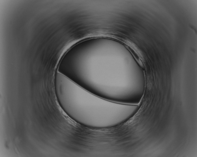 X0000097611388200802290745