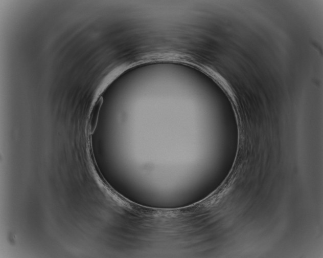 X0000097611389200802290745
