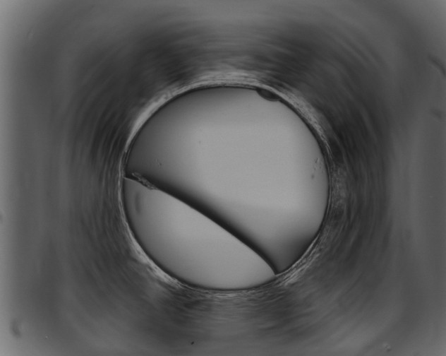 X0000097611390200802290745