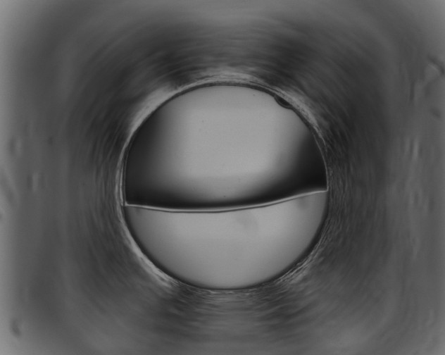 X0000097611391200802290745