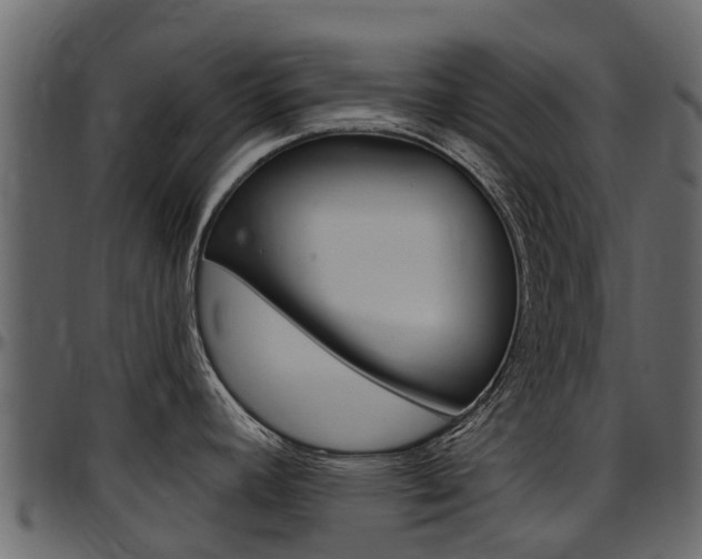 X0000097611392200802290745