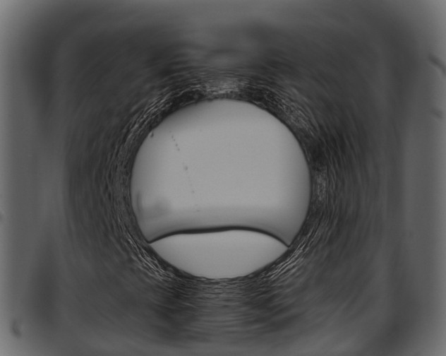 X0000097611393200802290744