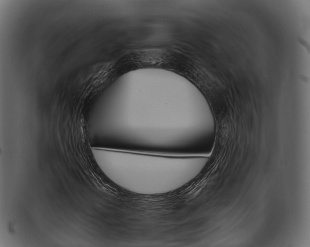 X0000097611394200802290744