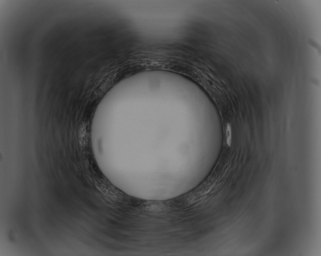 X0000097611395200802290744