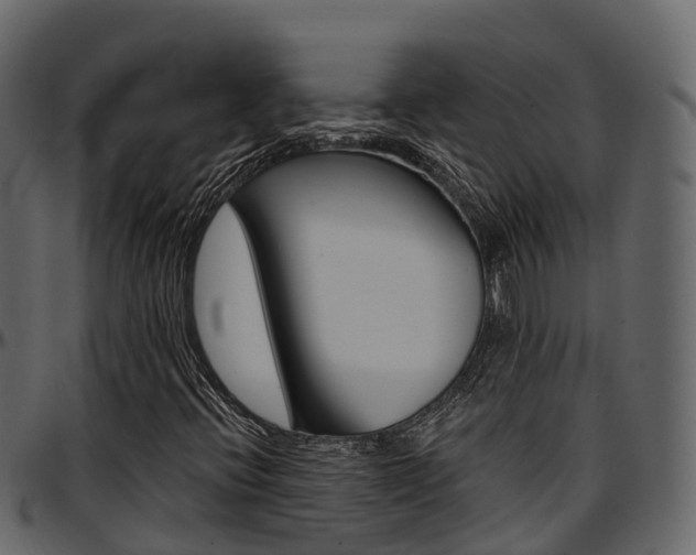 X0000097611396200802290744