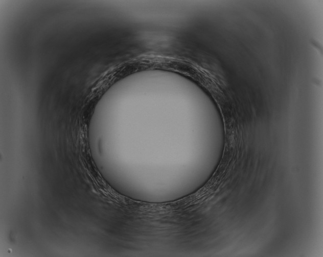X0000097611397200802290744