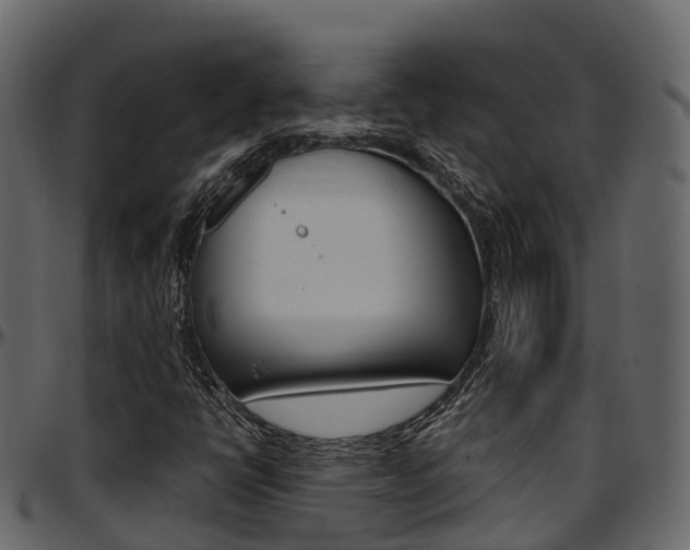 X0000097611398200802290745