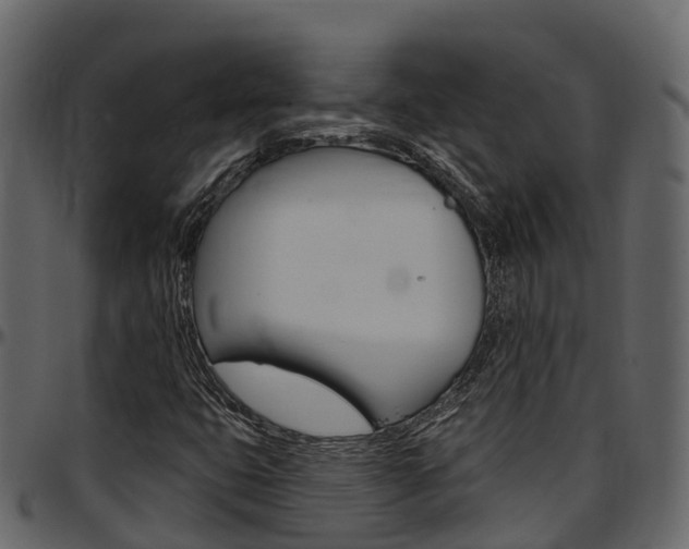 X0000097611399200802290745