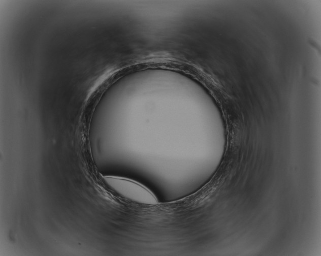 X0000097611400200802290745