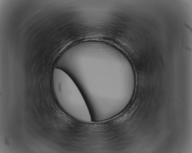 X0000097611401200802290745