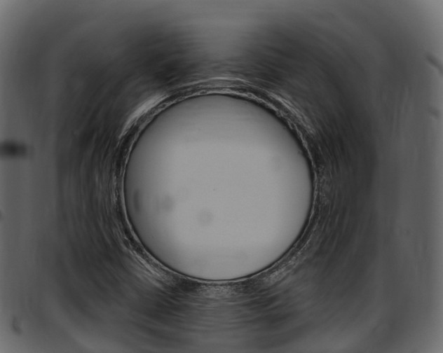 X0000097611402200802290745