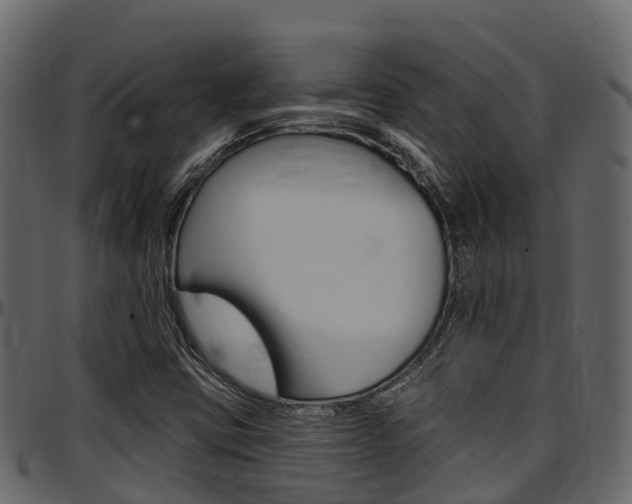 X0000097611403200802290745
