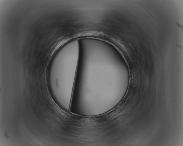 X0000097611404200802290745