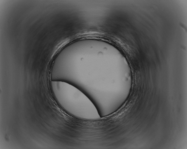 X0000097611405200802290745