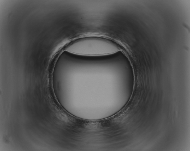 X0000097611406200802290745