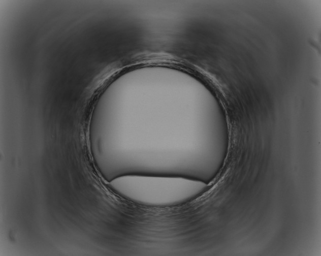 X0000097611407200802290745