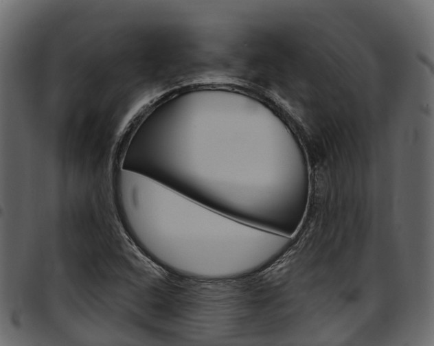 X0000097611408200802290745