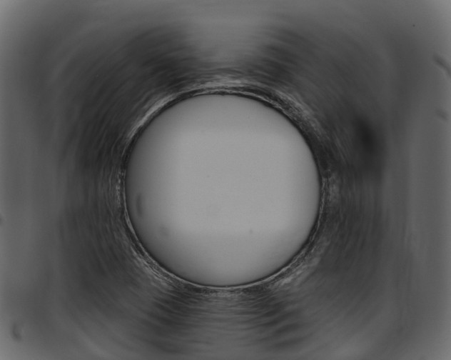 X0000097611409200802290745