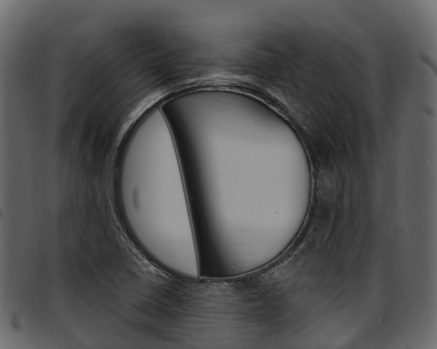 X0000097611410200802290745