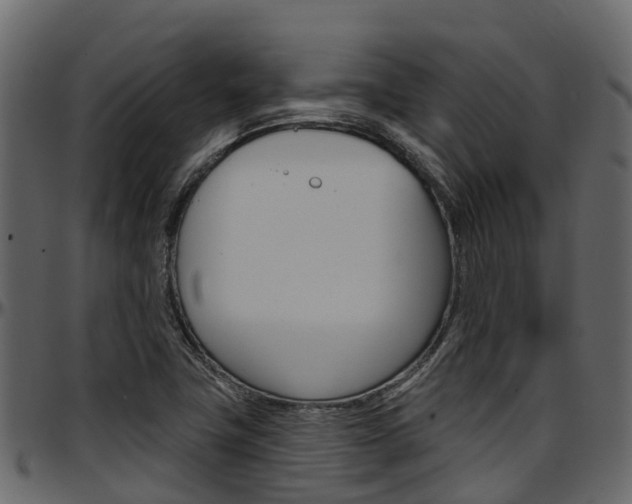 X0000097611411200802290745