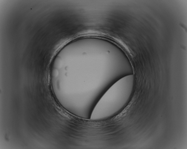 X0000097611413200802290745