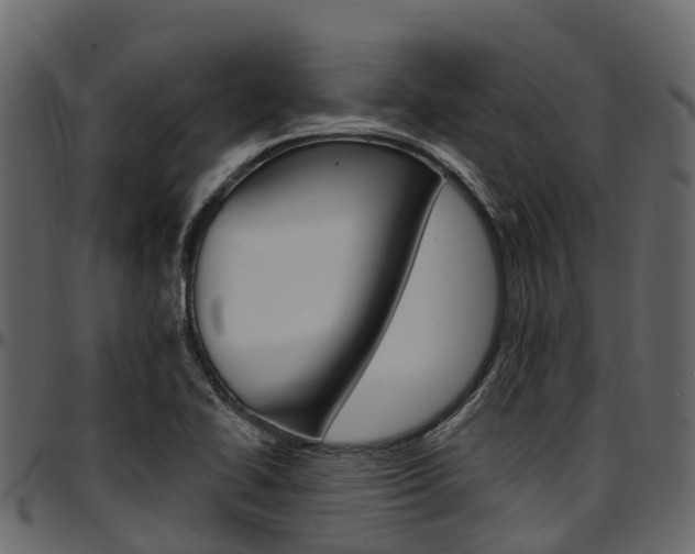 X0000097611414200802290745