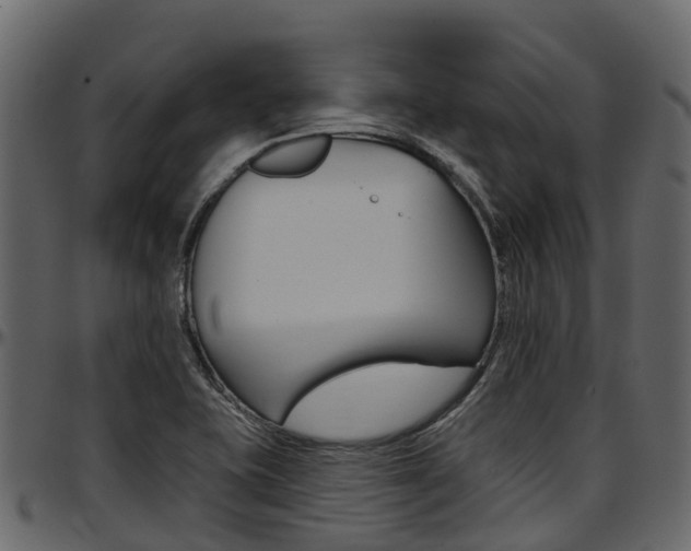 X0000097611415200802290745