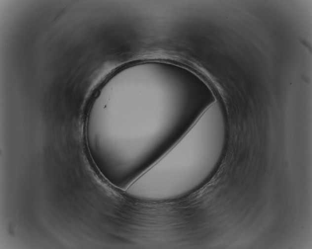 X0000097611416200802290745