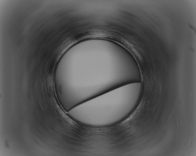 X0000097611417200802290745