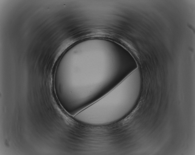 X0000097611418200802290745