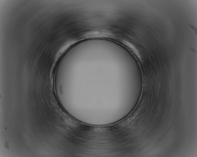 X0000097611419200802290745