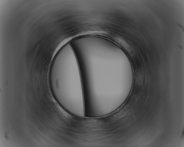 X0000097611420200802290745