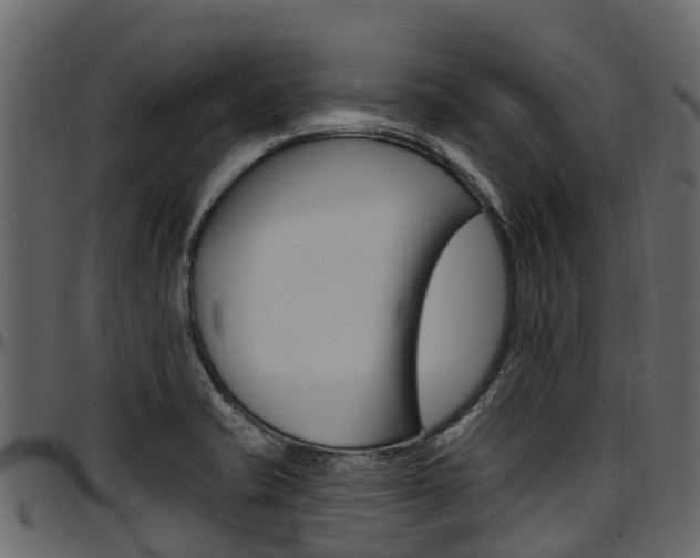 X0000097611421200802290745
