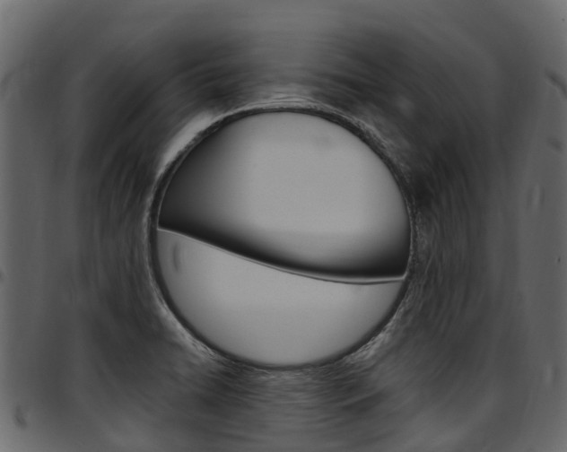 X0000097611422200802290745