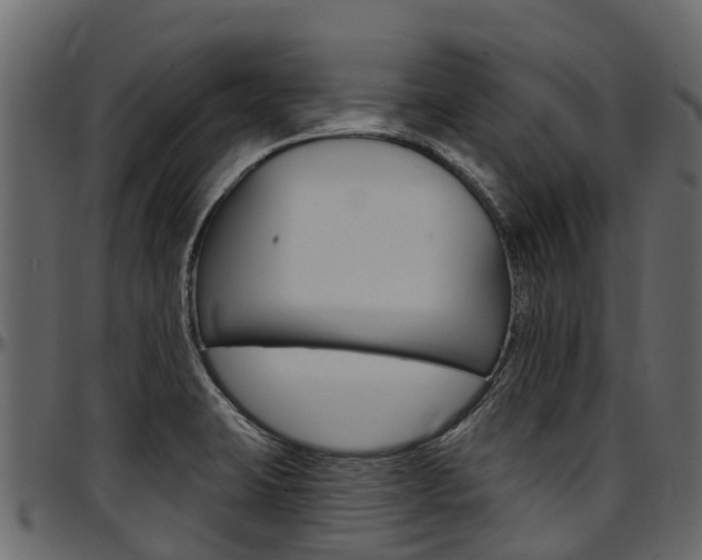 X0000097611423200802290745