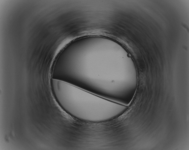 X0000097611424200802290745