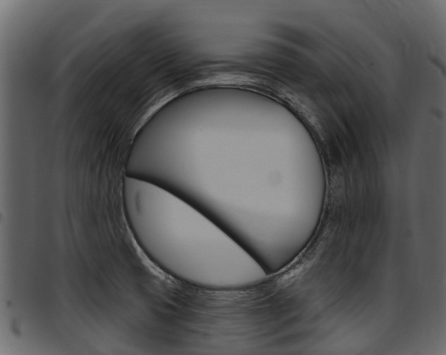X0000097611425200802290745