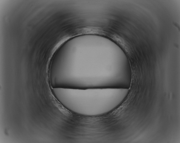X0000097611427200802290745