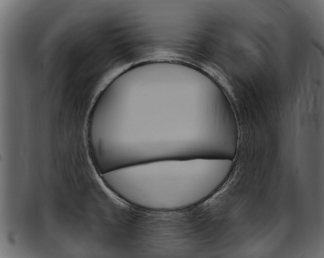X0000097611429200802290745