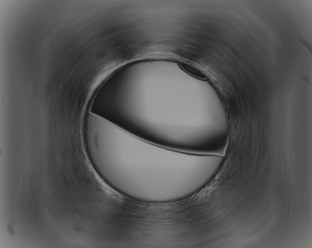 X0000097611430200802290745
