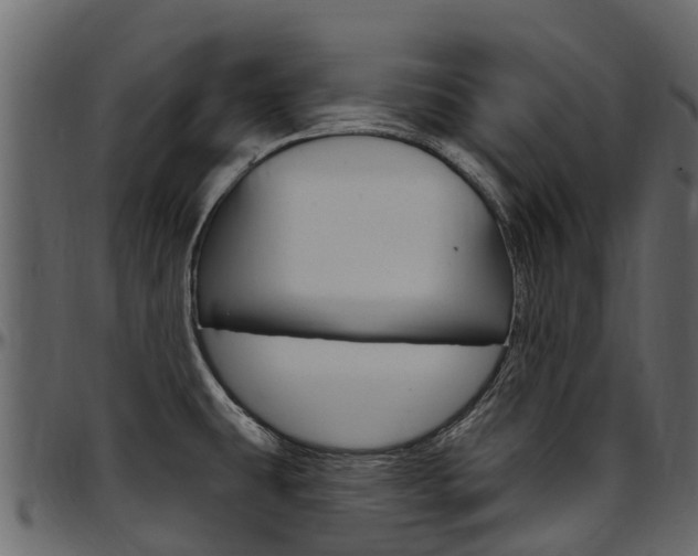X0000097611431200802290745