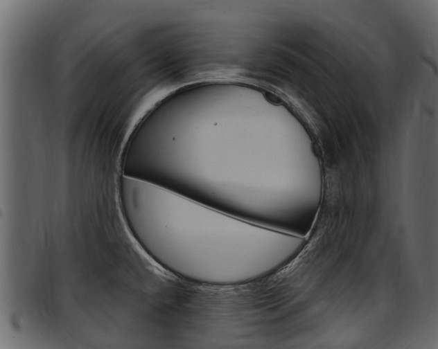 X0000097611432200802290745