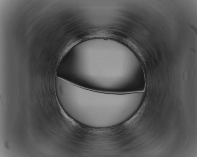 X0000097611433200802290745